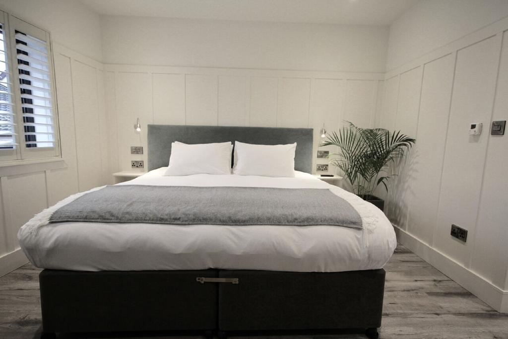Quinlan & Cooke Boutique Townhouse And Qcs Seafood Restaurant Hotel Cahersiveen Eksteriør billede